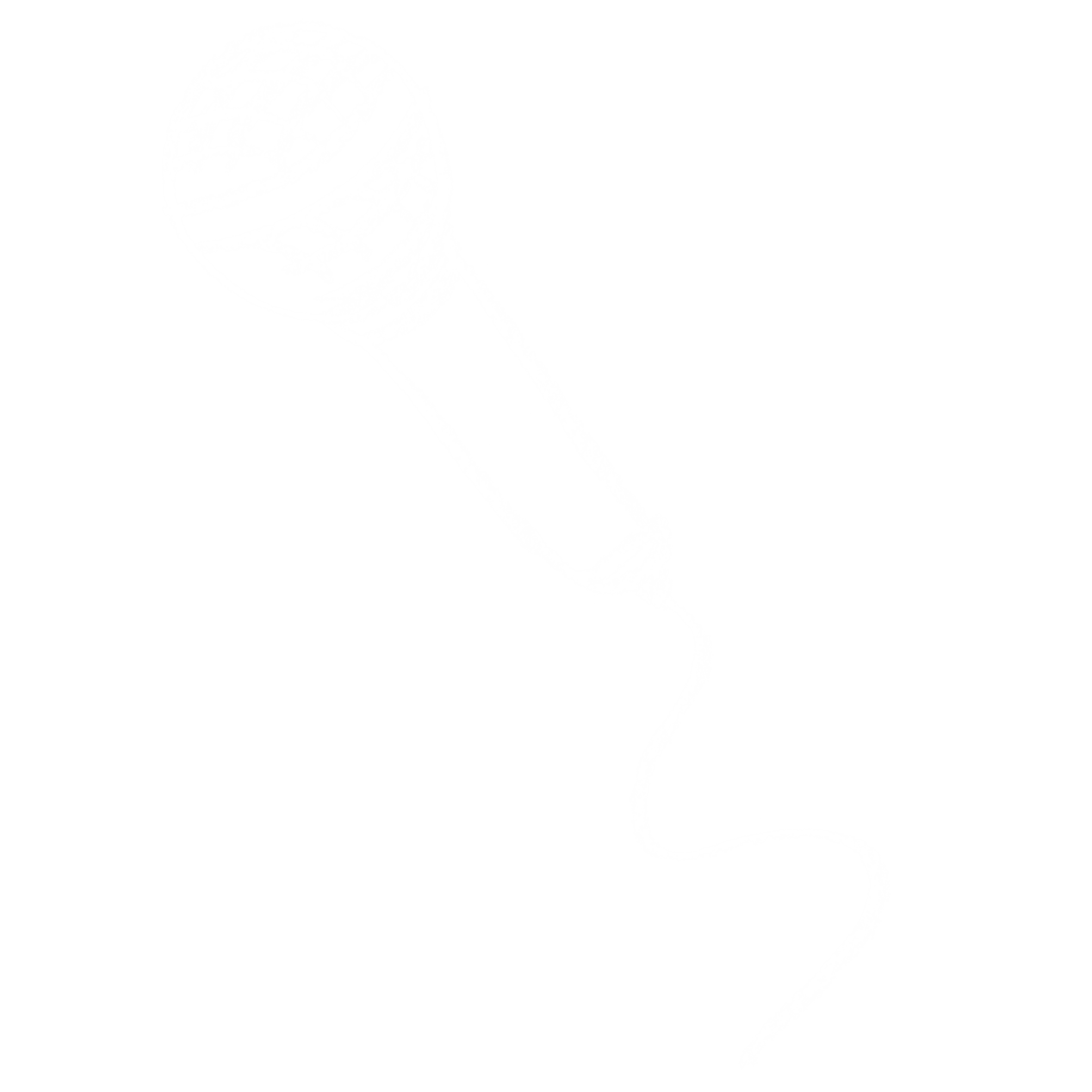 microphone-white