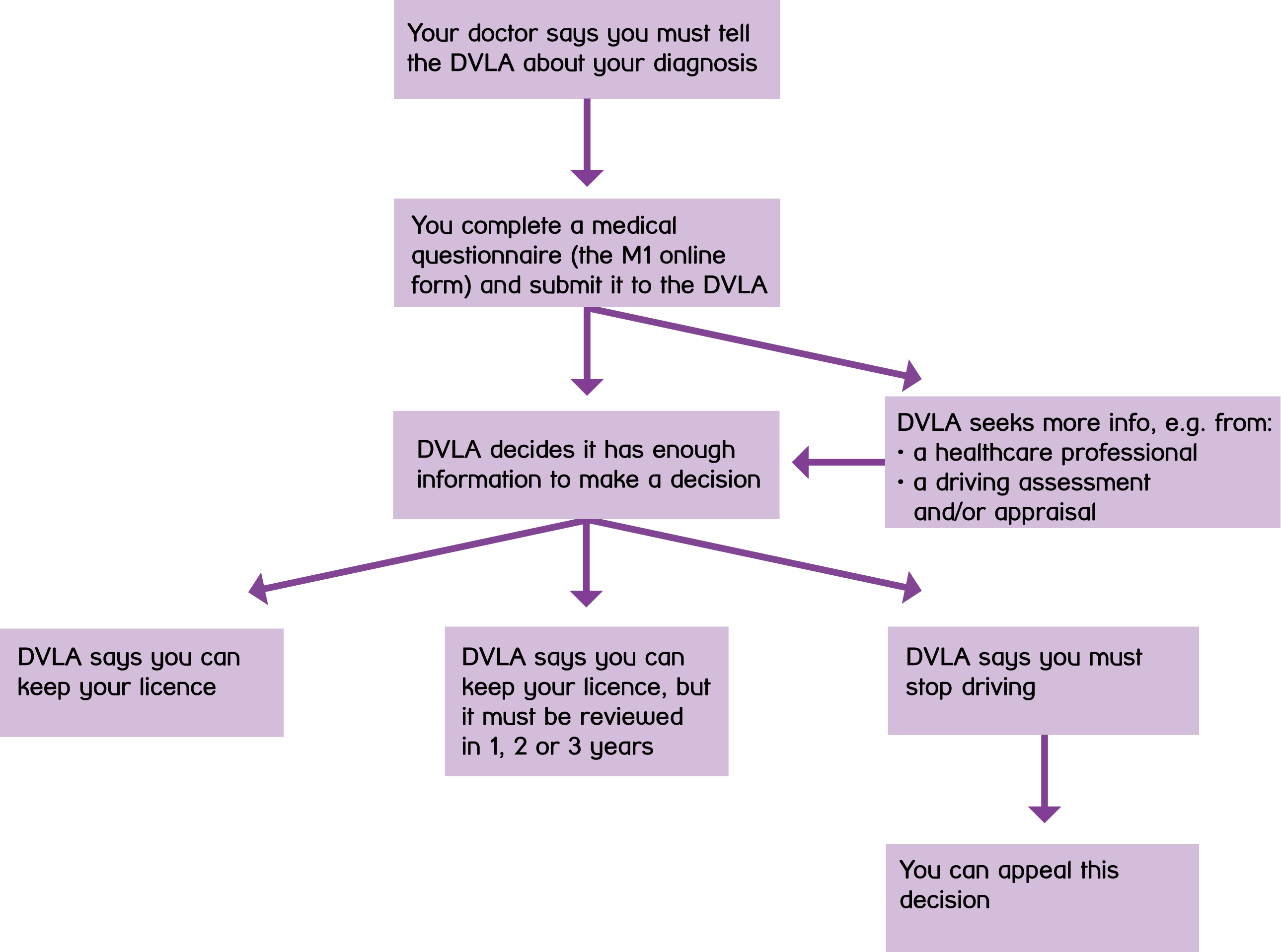 Flowchart showing what the DVLA does with the information you give them, as described under "What will the DVLA do with the information I give them?"