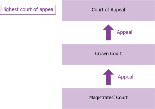 Flowchart showing court appeal process, as described under "Can I appeal the hospital order?" above.