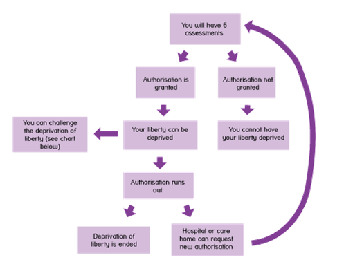 Flowchart showing how the authorisation process works, as described under "How does the authorisation process work?"