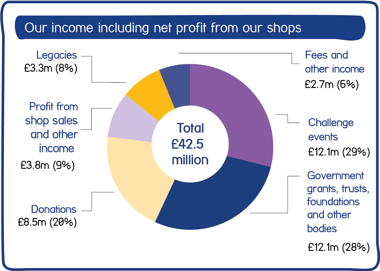 Pie chart showing break down of Mind's £45.2 million income in 2018/19