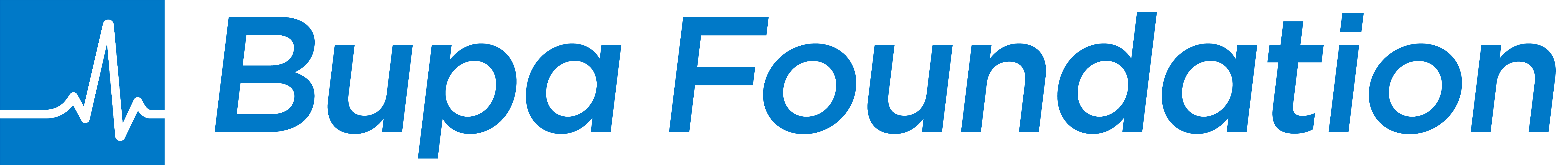 Bupa Foundation logo in blue text