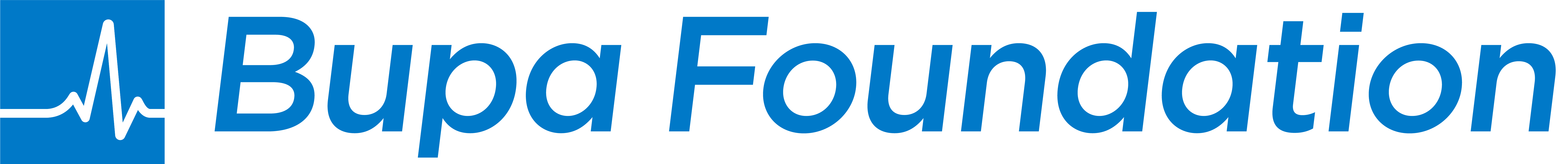 Bupa Foundation logo