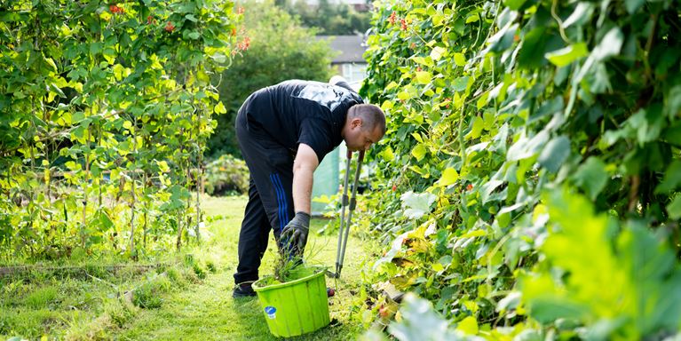 A person bending over, gardening