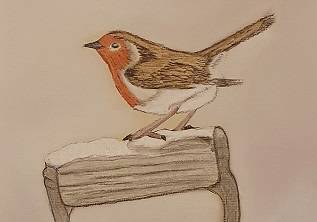 Rebecca Picton's artwork shows a robin perched on a snowy ledge.