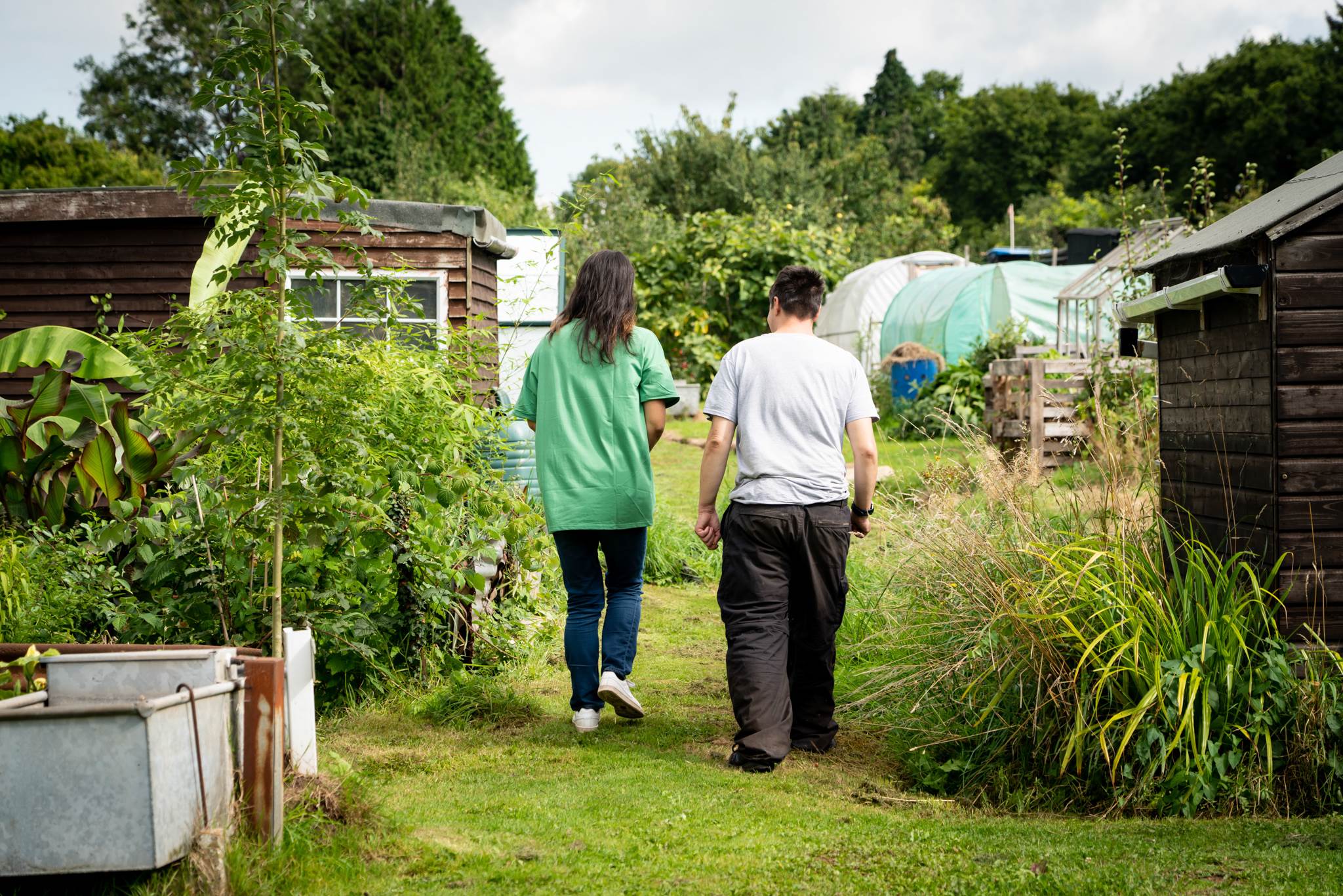 2 people walking through a Mind community allotment in the middle of summer, with healthy looking vegetables growing around them.