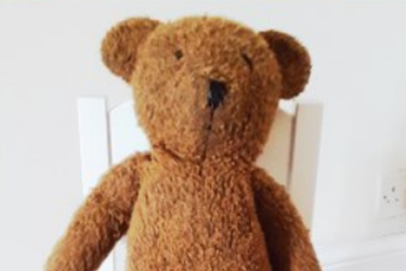 Small brown teddy bear in a white chair facing forwards