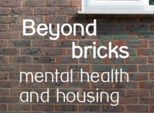 Brick background with white writing saying 'beyond bricks metal health and housing'