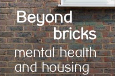 Brick background with white writing saying 'beyond bricks metal health and housing'