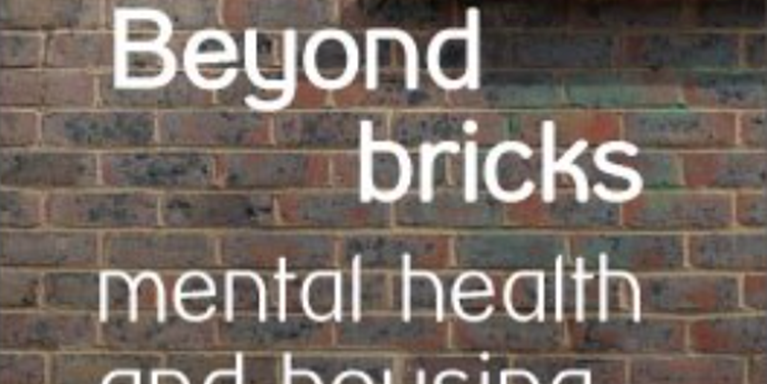 Brick background with white writing saying 'beyond bricks metal health and housing'