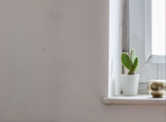 A beige wall with the furtherest right third featuring two cacti on a white windowsill
