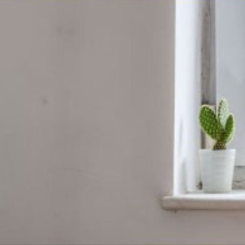 A beige wall with the furtherest right third featuring two cacti on a white windowsill