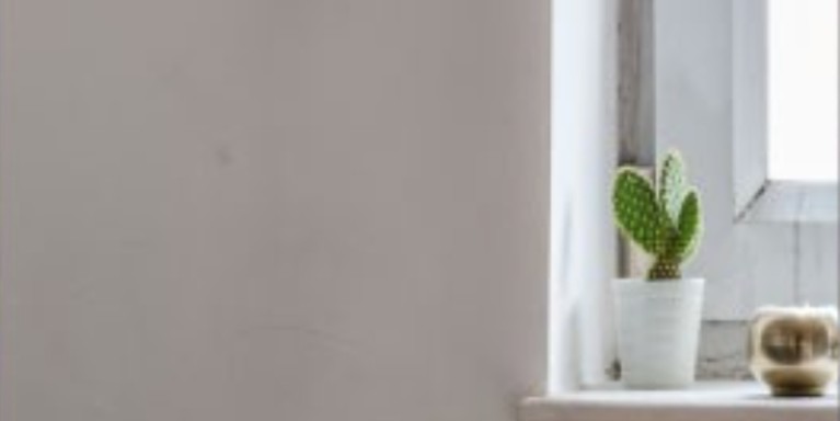 A beige wall with the furtherest right third featuring two cacti on a white windowsill