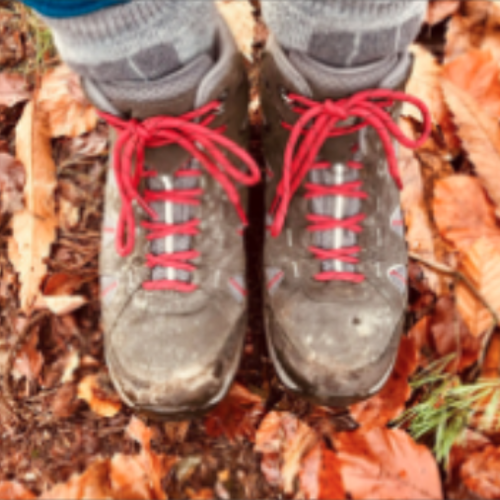 On the autumn leave-covered floor, Nikki's walking boots are worn and laced with bright red laces.