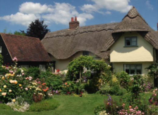 A sunny day, with the focus on a thatch cottage with a pretty garden with lots of flowers