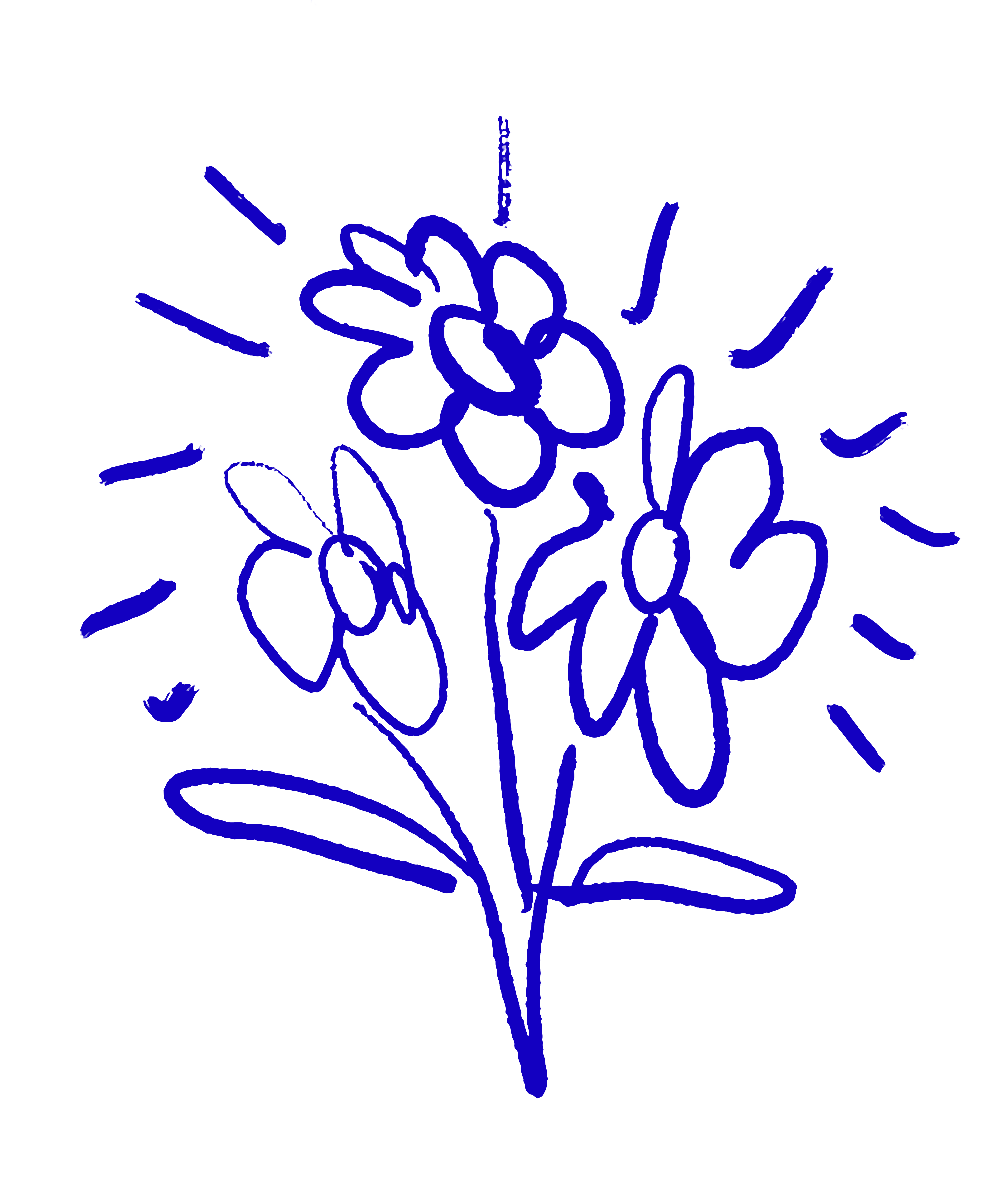 Blue flowers 