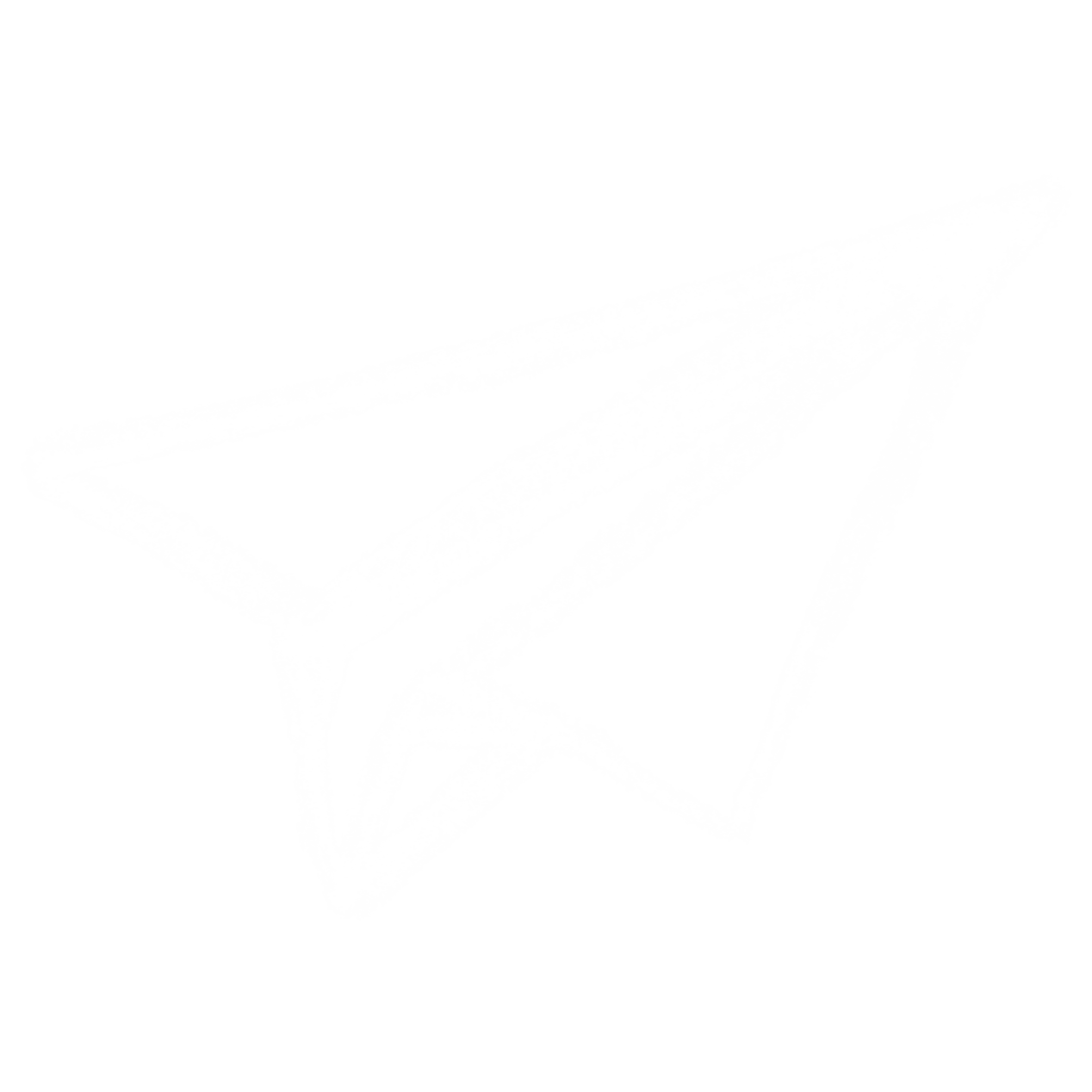 paper aeroplane illustration white