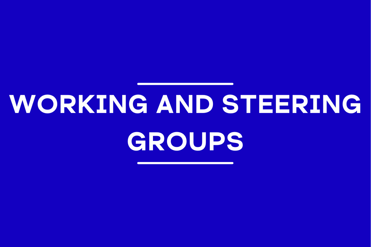 Working and steering groups