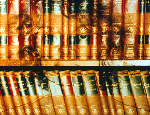 Catherine Prior's artwork shows the outline of a woman's face on a shelf of books.
