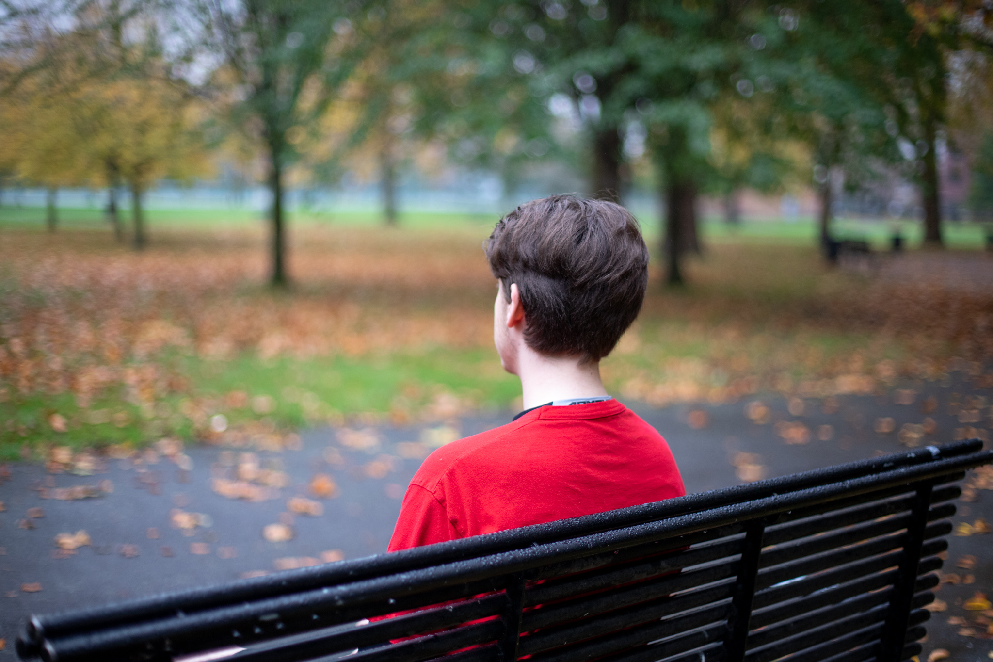 Person sitting on a park bench looking into the distance